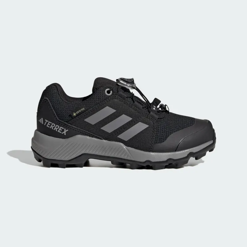Adidas Terrex GORE-TEX Hiking Core Black / Grey Three / Core Black (IF7519)