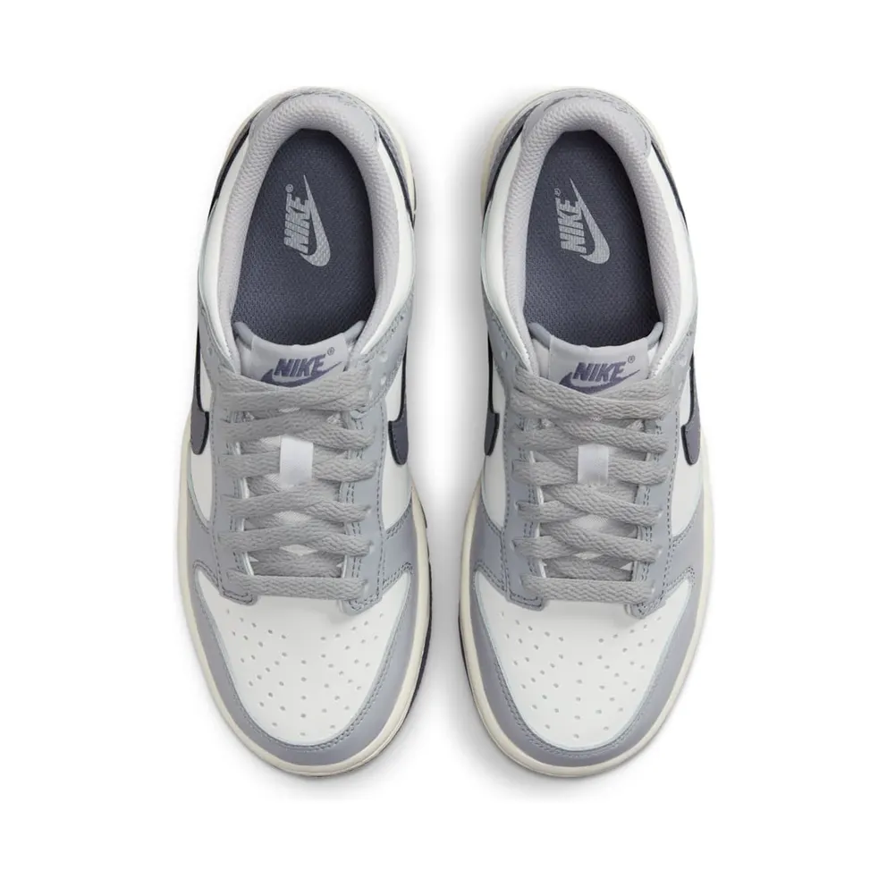 Nike Dunk Low SE Light Carbon Grey (GS) (FB9109-101)