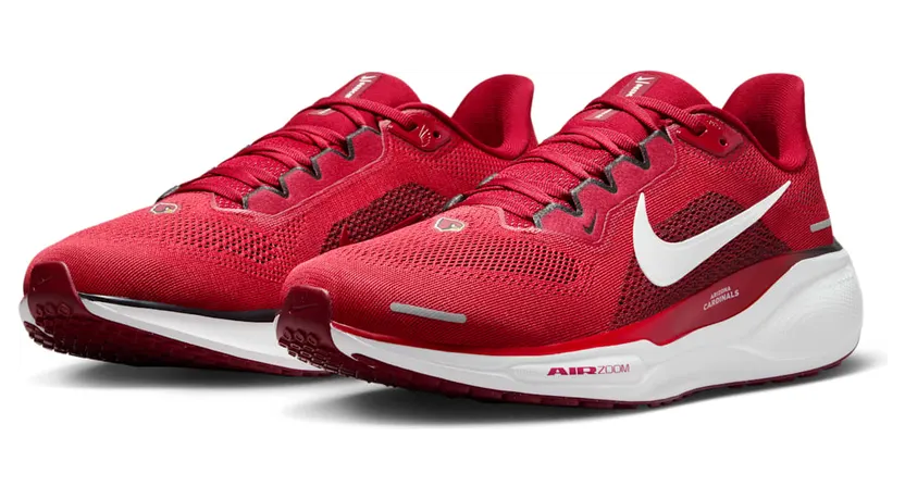 nike-air-zoom FZ5077-600