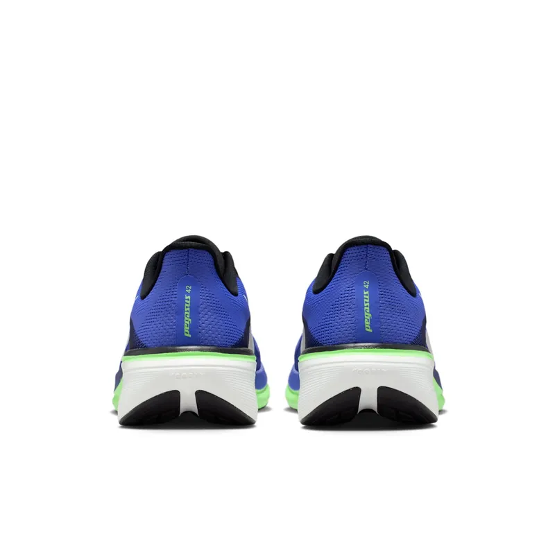 Nike Pegasus Sapphire/Lapis/Lime Blast/Summit White (IB1873-500)