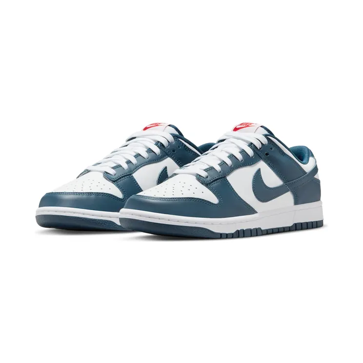 nike-dunk DD1391-400