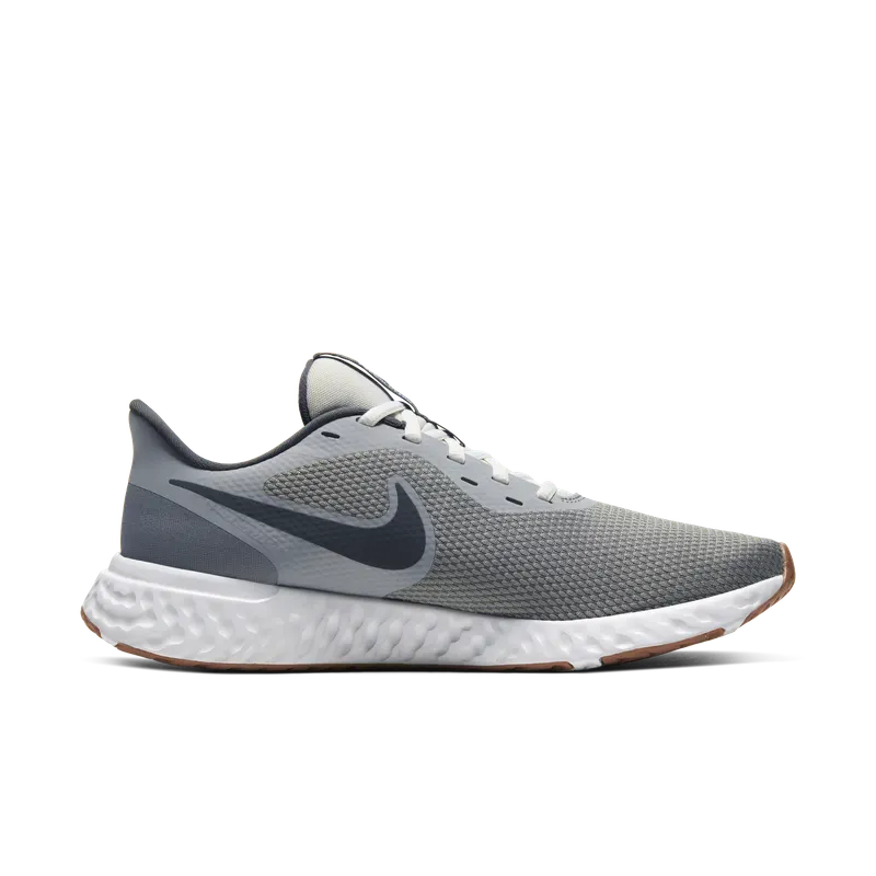 Nike Revolution 5 Smoke Grey Smoke Grey/Photon Dust-Dark Smoke Grey (BQ3204-008)
