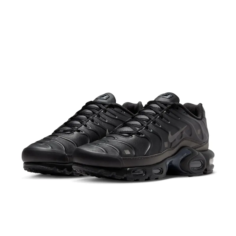 Nike Air Max Plus x A-COLD-WALL* Black/Light Iron Ore/Obsidian/Off-Noir (FD7855-001)