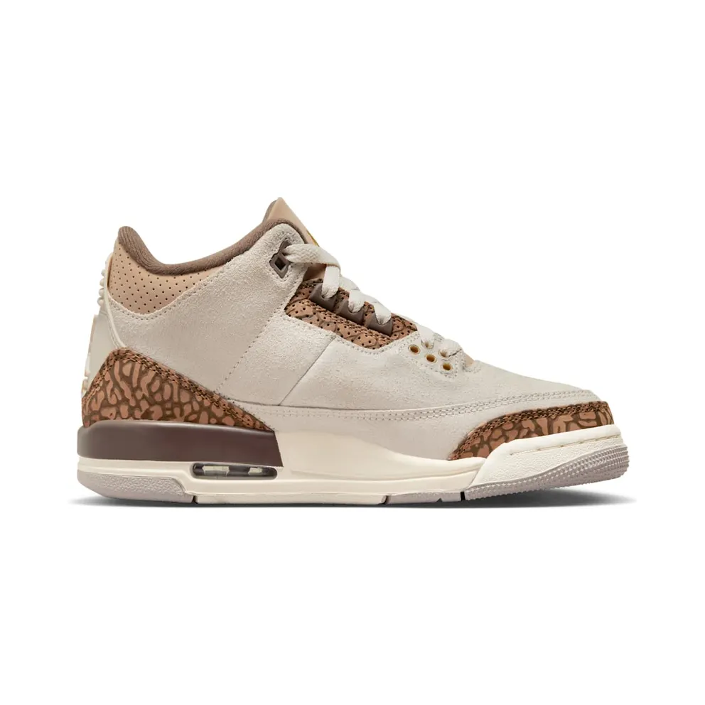 Air Jordan 3 GS “Palomino” (DM0967-102)