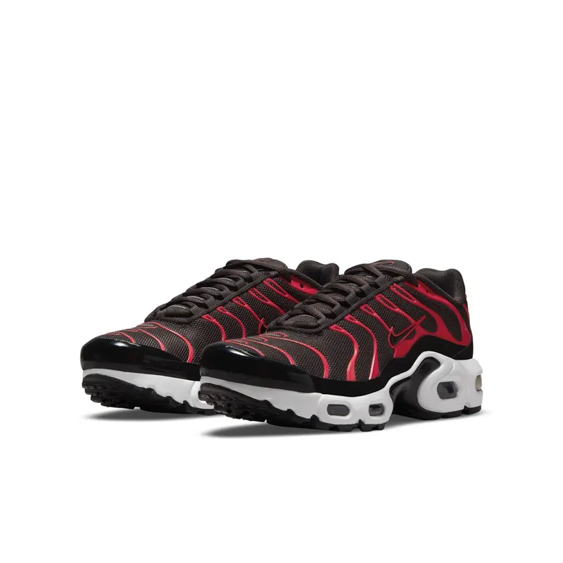 Nike Air Max Plus Bruin (CD0609-200)