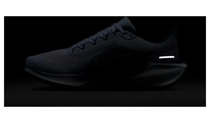 nike-air-pegasus FD2723-013