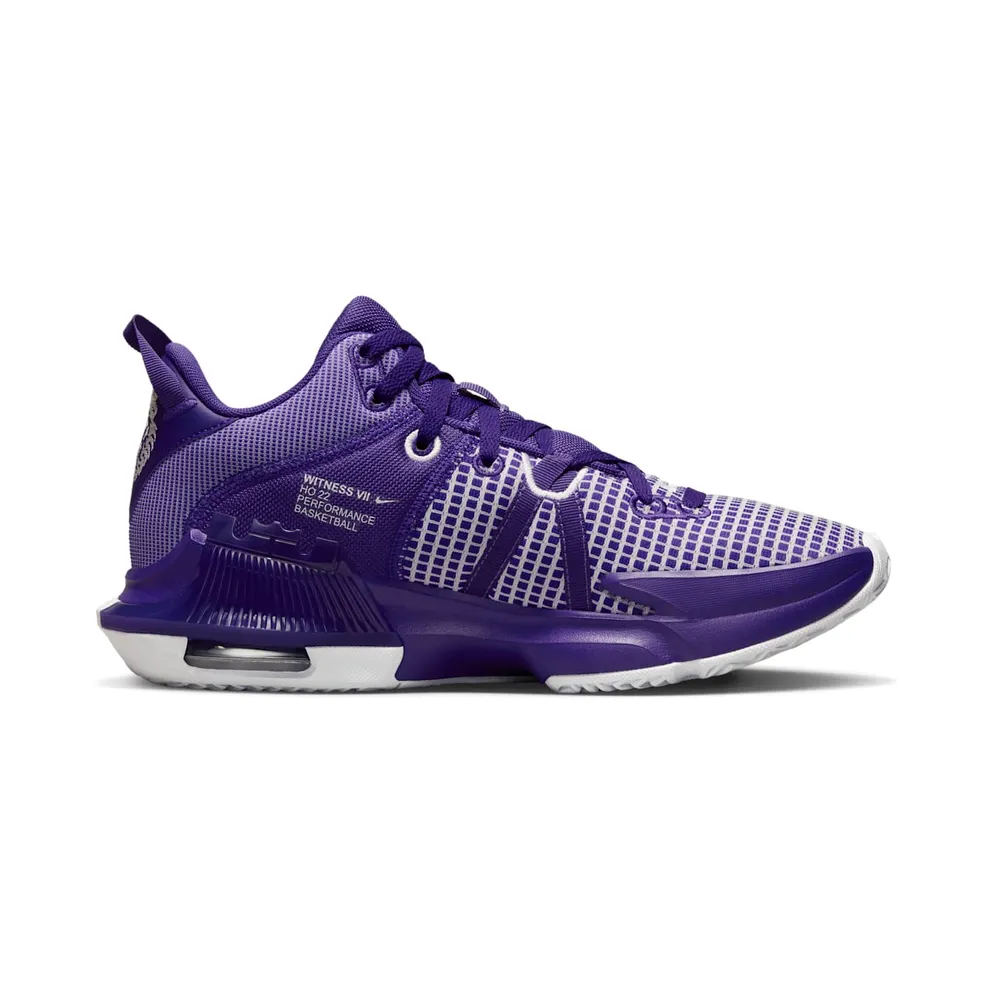 Nike LeBron Witness 7 TB Court Purple (DZ3299-500)