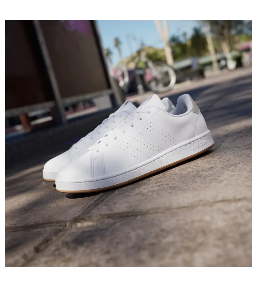 adidas-advantage GZ5303