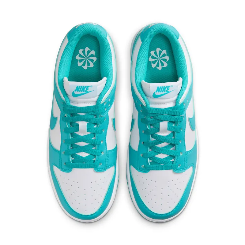 Nike Dunk Low Next Nature “Dusty Cactus” (DD1873-105)