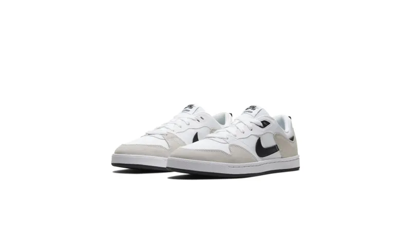 Nike Sb Alleyoop White White/White/Black (CJ0882-100)