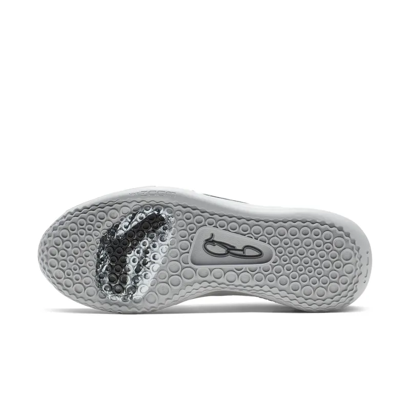 Nike PG 3 NASA 50th Reflect Silver/Reflect Silver (CI2666-001)