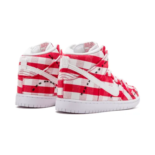 nike-dunk-sb 305050-610