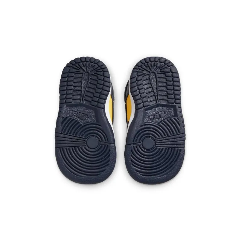 Nike Dunk Low Michigan (2021) (TD) (CW1589-700)
