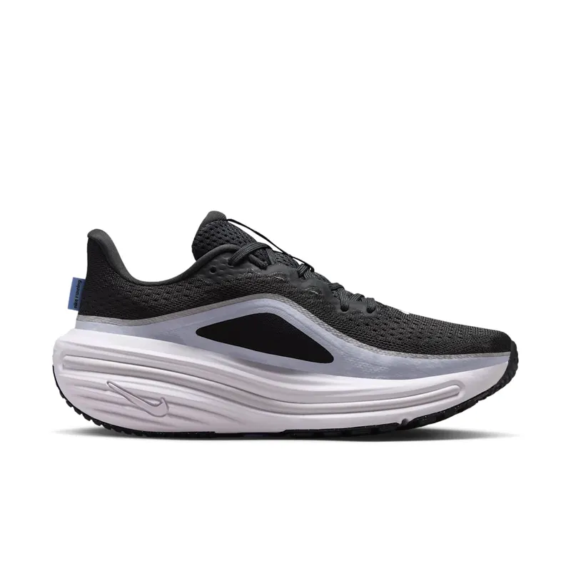 Nike Winflo 12 Grey (HV9273-005)
