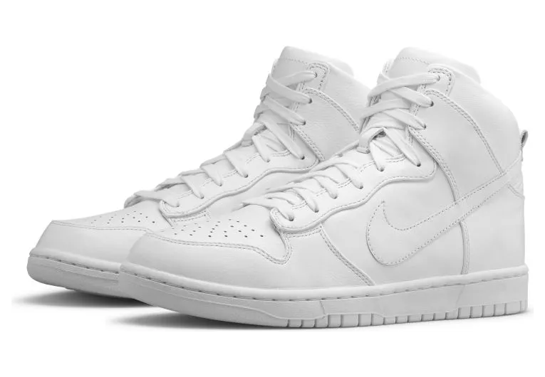nike-dunk 718790-101
