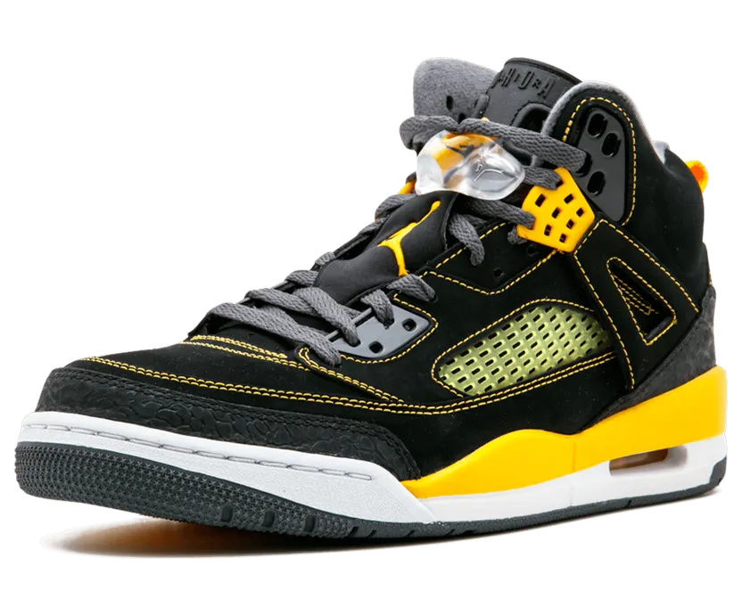 jordan-air-spizike 315371-030