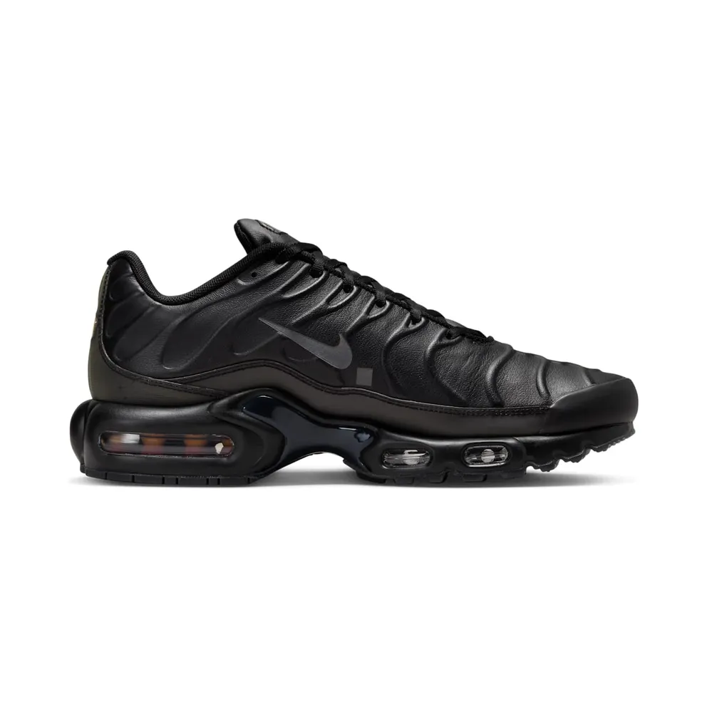Nike Air Max Plus x A-COLD-WALL* Black/Light Iron Ore/Obsidian/Off-Noir (FD7855-001)