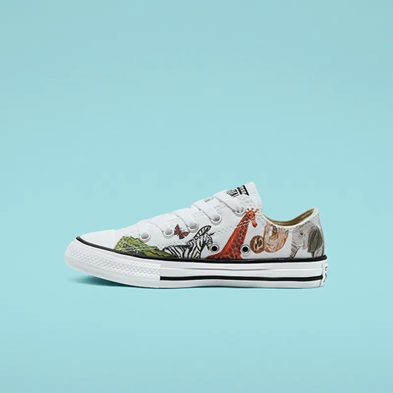 Converse Big Science Class Chuck Taylor All Star Low Top (668462C)