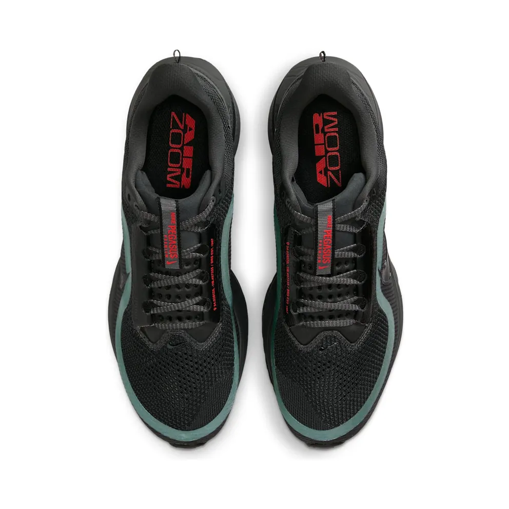Nike Air Zoom Pegasus Premium Anthracite Black (HQ2592-011)