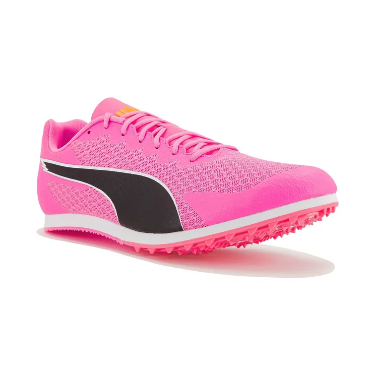 puma-evospeed 311379