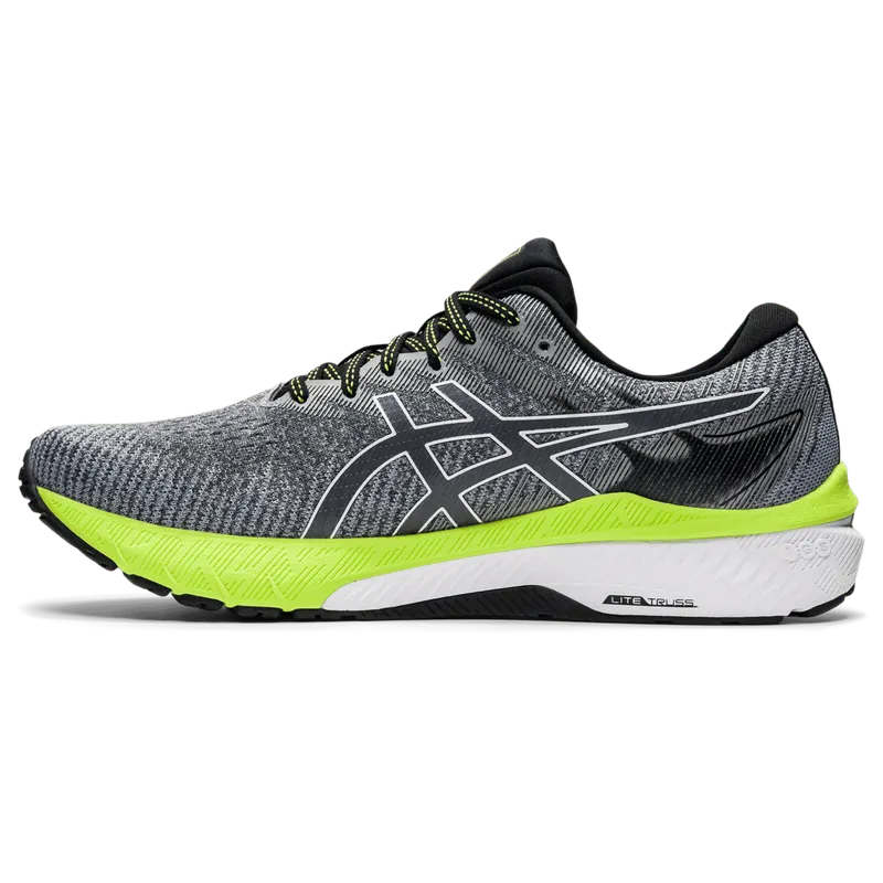 Asics GT-2000™ 10 Carrier Grey/White (1011B185.023)