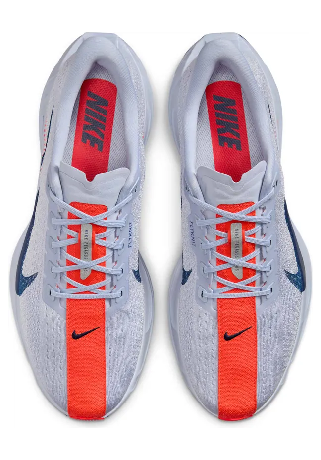 nike-air-pegasus FQ7262-006