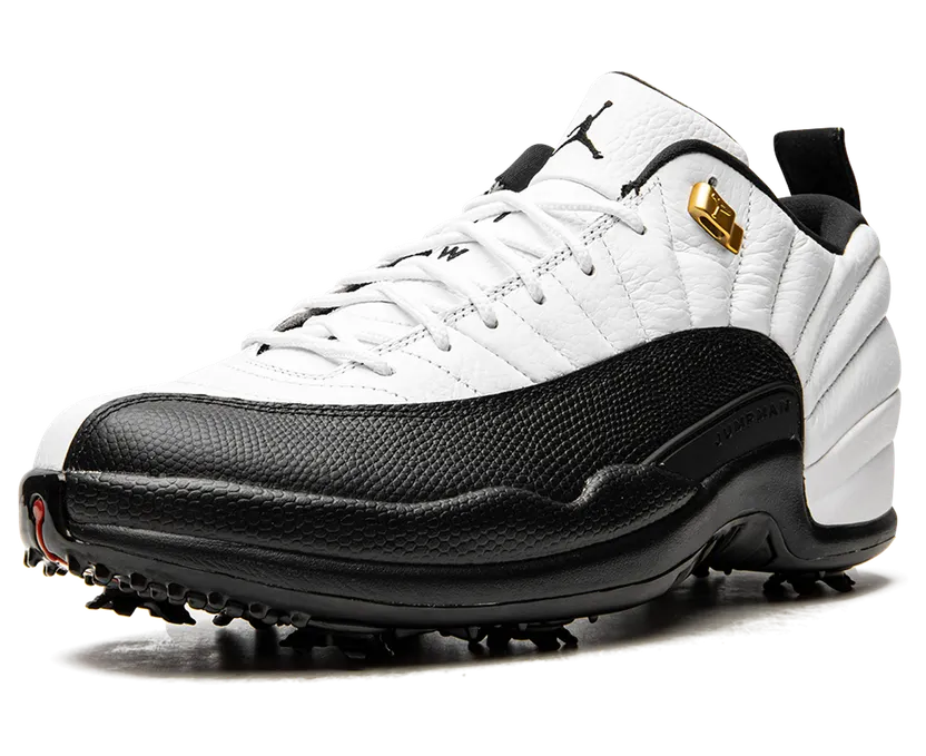 air-jordan-12 DH4120-100