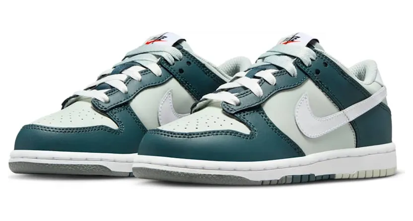 nike-dunk FB9108-300