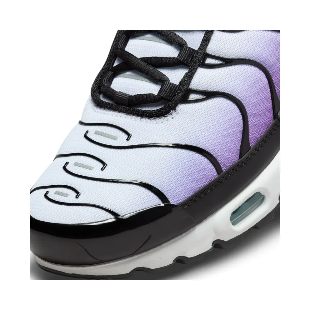 Nike Air Max Plus Reverse Grape (FQ2415-500)