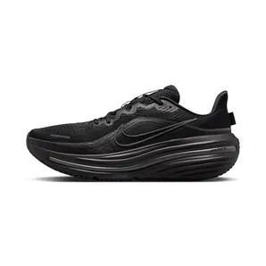 Nike Air Winflo 12 “Black / Dark Smoke Grey” (HV9272-001)