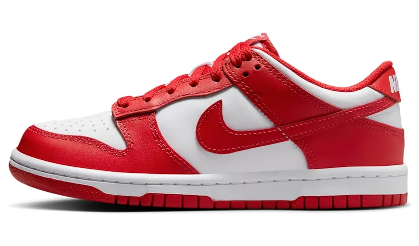 Nike Dunk Low FB9109-119