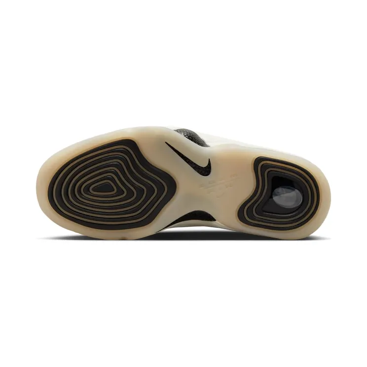nike-air-penny FB7727-100
