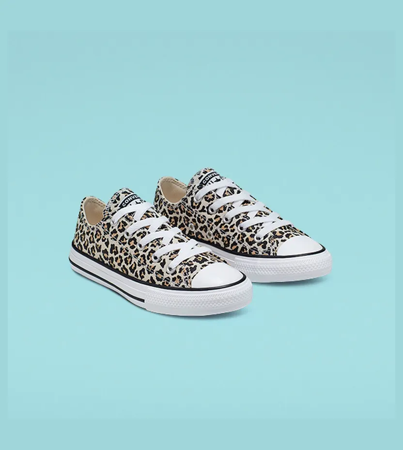 converse-chuck-taylor-all-star 366297C