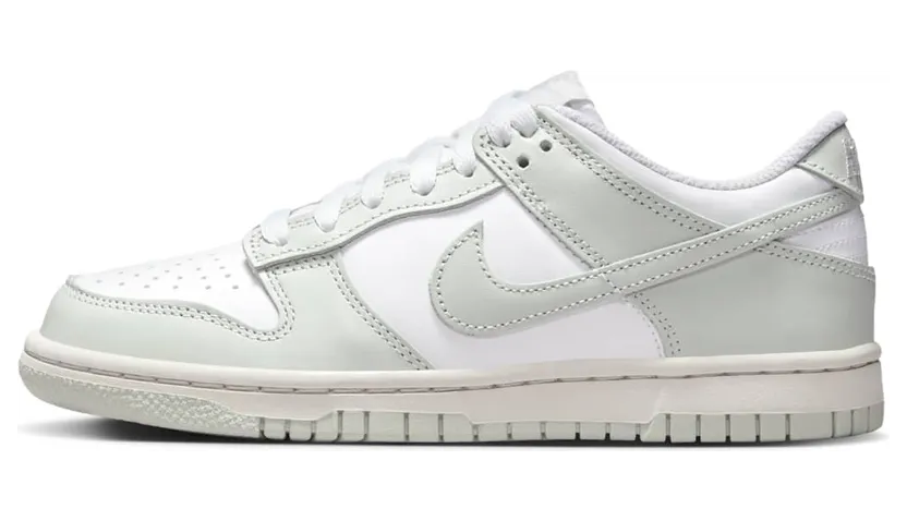 Nike Dunk Low FB9109-124