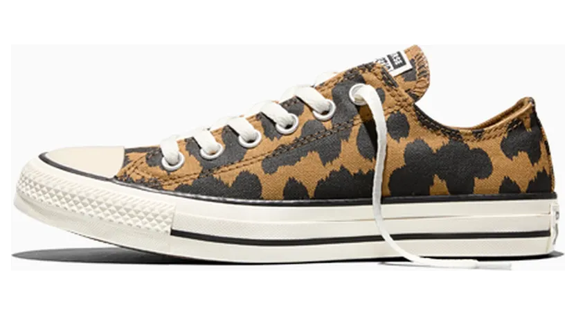 converse-sneaker A17920C
