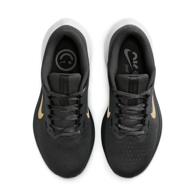 Nike Air Winflo 10 Anthracite Metallic Gold (DV4023-005)