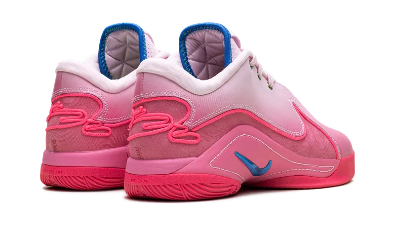 Nike LeBron 22 “I Promise” (HV8456-600)