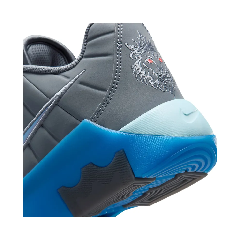 Nike LeBron Cool Grey/Psychic Blue/Glacier Ice/Aurora Blue (HV2270-003)