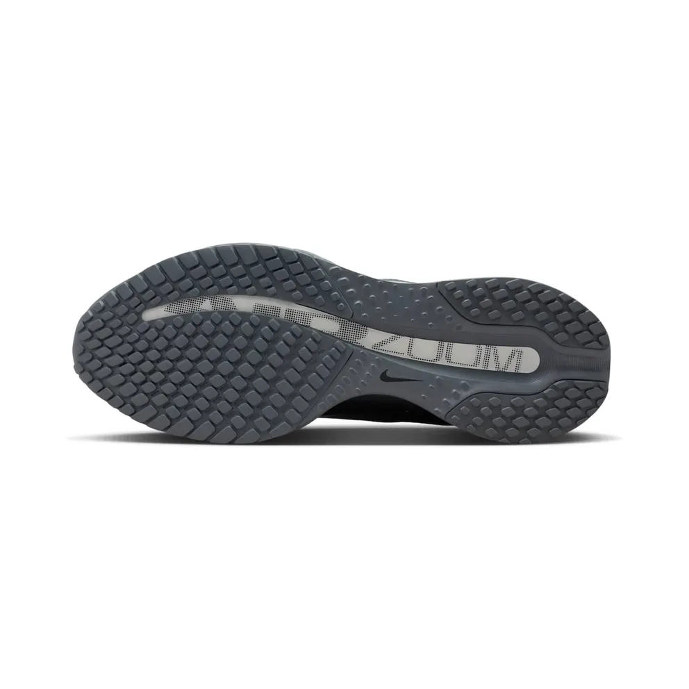 Nike Pegasus Premium Wolf Grey/Cool Grey/Anthracite (HQ2592-013)