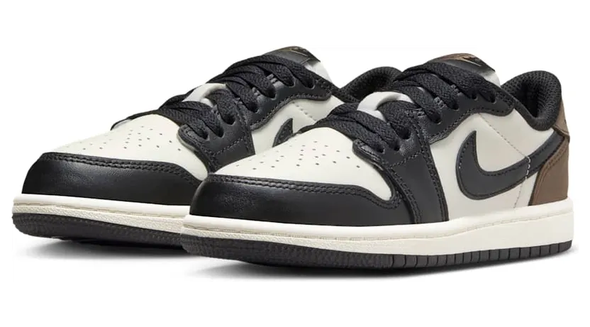 air-jordan-1 FQ5436-102