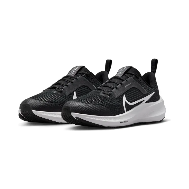 nike-air-pegasus DX2498-001