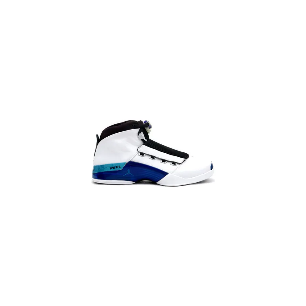 Jordan 17 OG Wizards Home (302720-141)