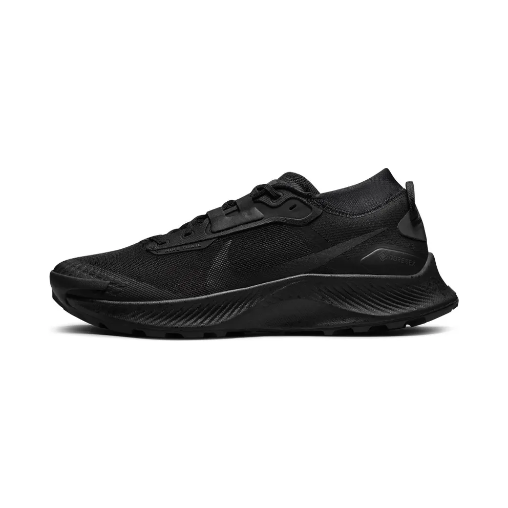 Nike Pegasus Trail 3 GORE-TEX Waterproof Trail Running Black (DC8793-001)