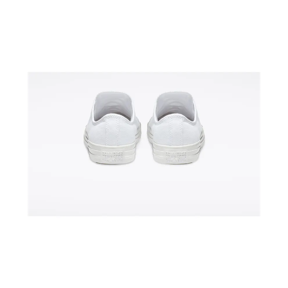 Converse Mono Colour Chuck Taylor All Star Low Top (1U647)