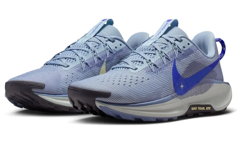 nike-air-pegasus DV3865-403