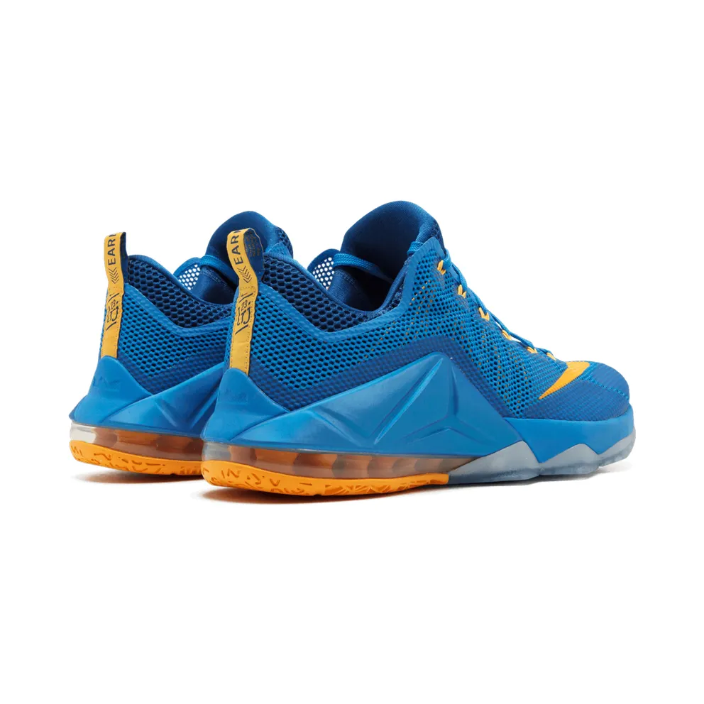 Nike Lebron 12 Low “Entourage” (724557-484)