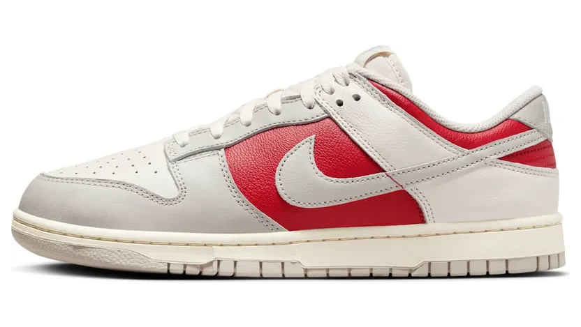 Nike Dunk Low HJ9093-030