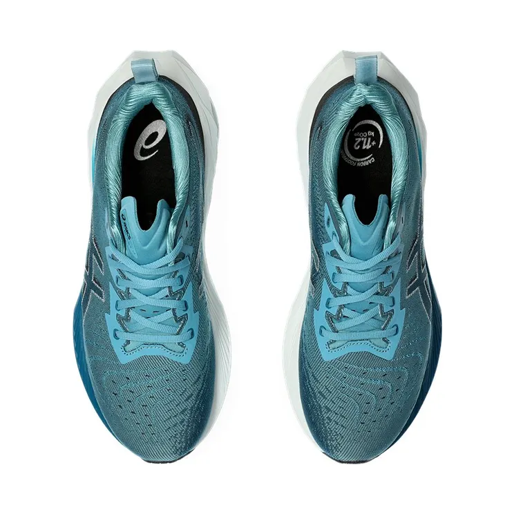 asics-novablast 1011B693-401