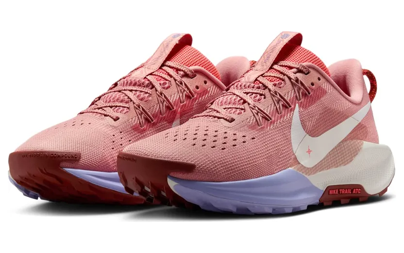 nike-air-pegasus DV3865-601