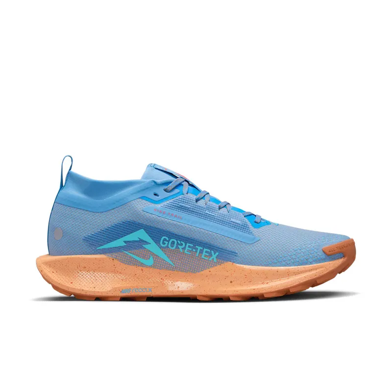 Nike Pegasus Trail 5 Gore-Tex “Blue Beyond” (FQ0908-400)